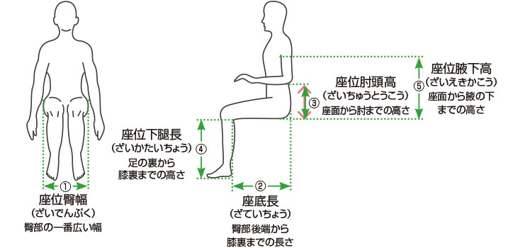 身体寸法