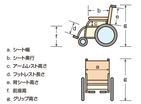 身体寸法